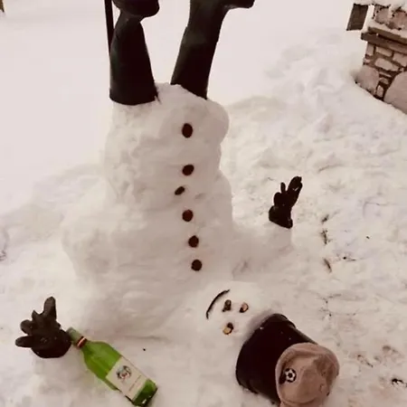 Vakantiehuis Hopfi Husli
